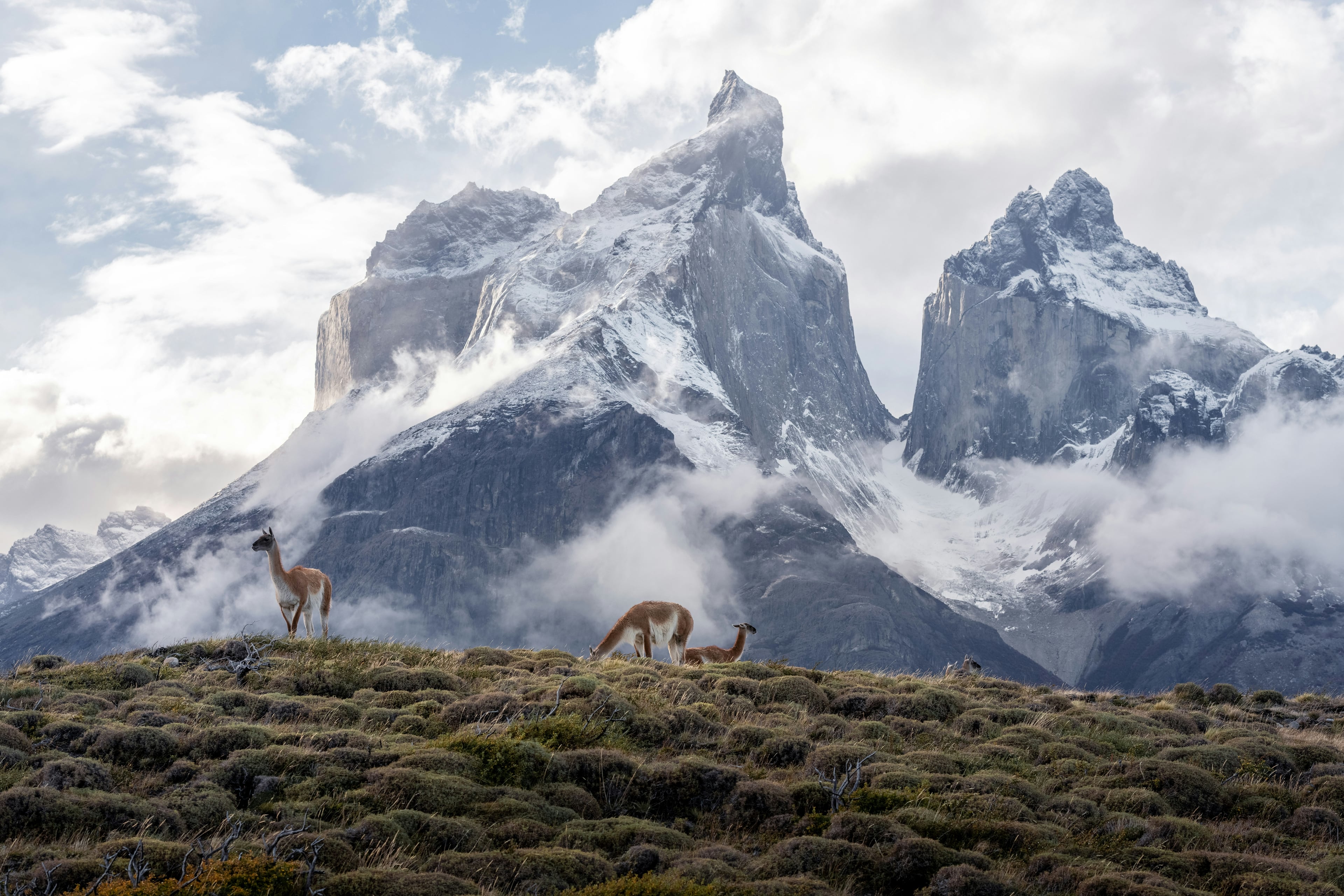 Torres del Paine dramatic peaks