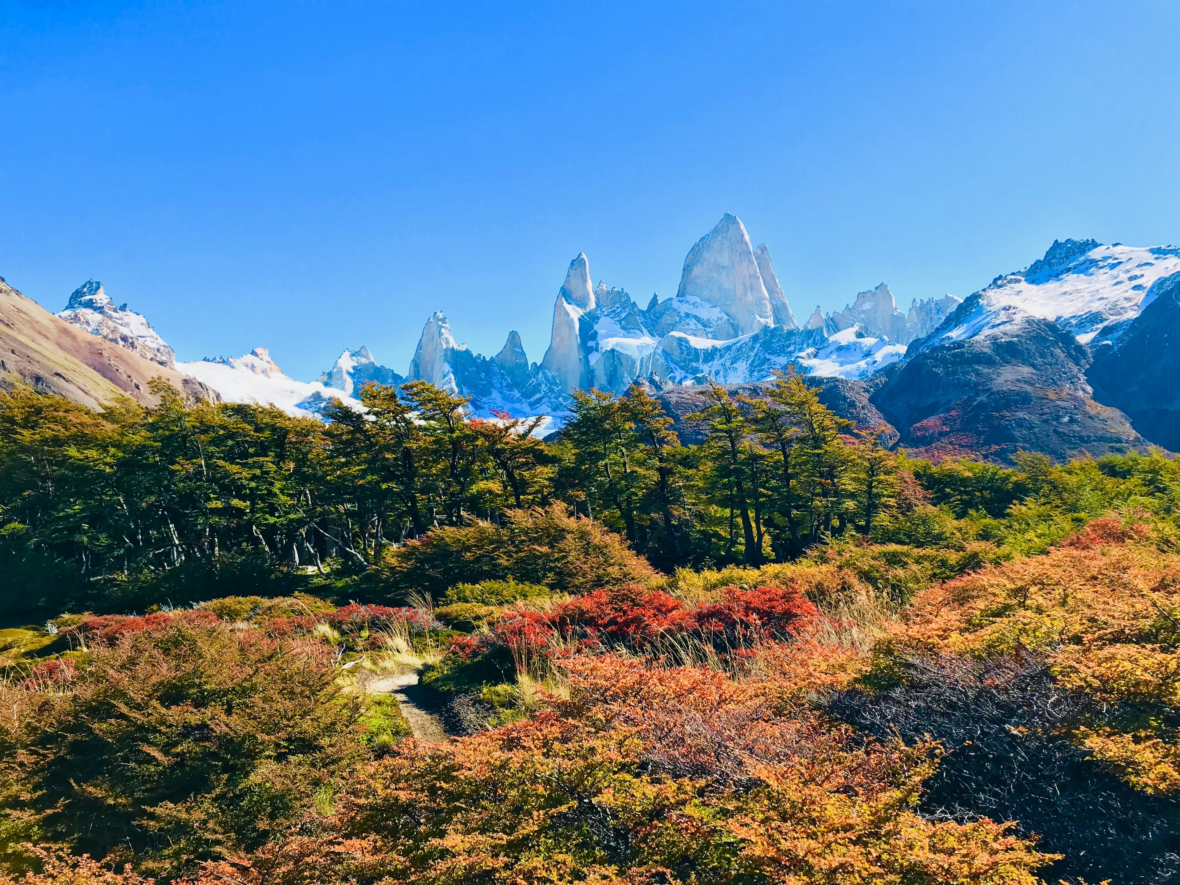 Torres del Paine dramatic peaks